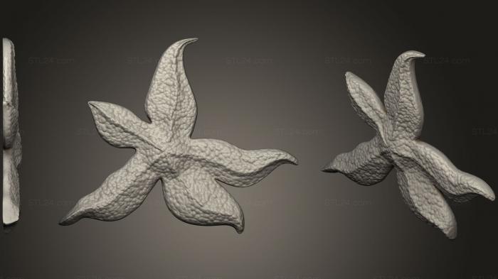 Geometric shapes (Starfish (2), SHPGM_0799) 3D models for cnc